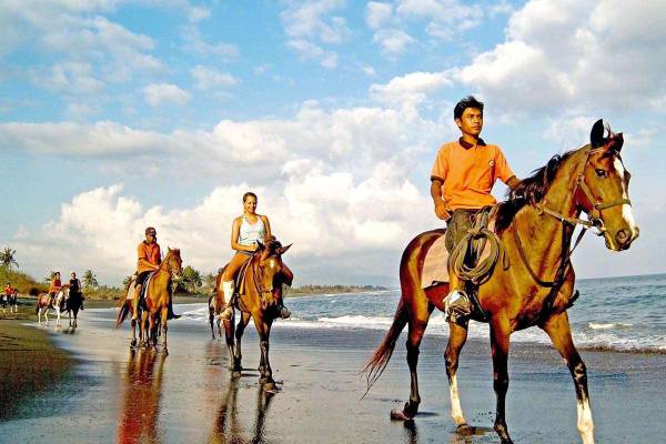 Bali Horse Riding Tour