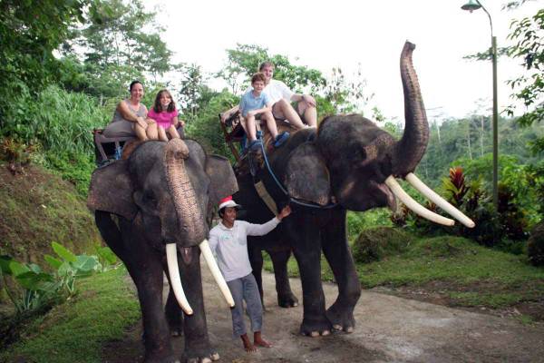 Bali Bakas Elephant Ride Tour