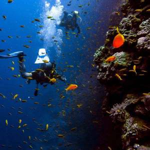 Diving
