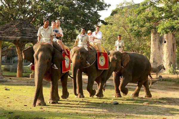 Bakas Elephant Ride