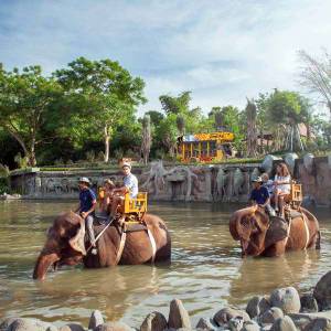 Bali Zoo Tour