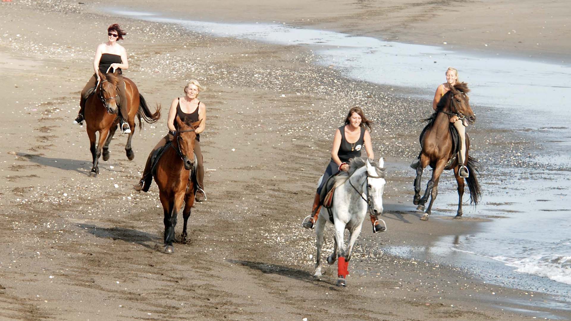 Bali Horse Riding