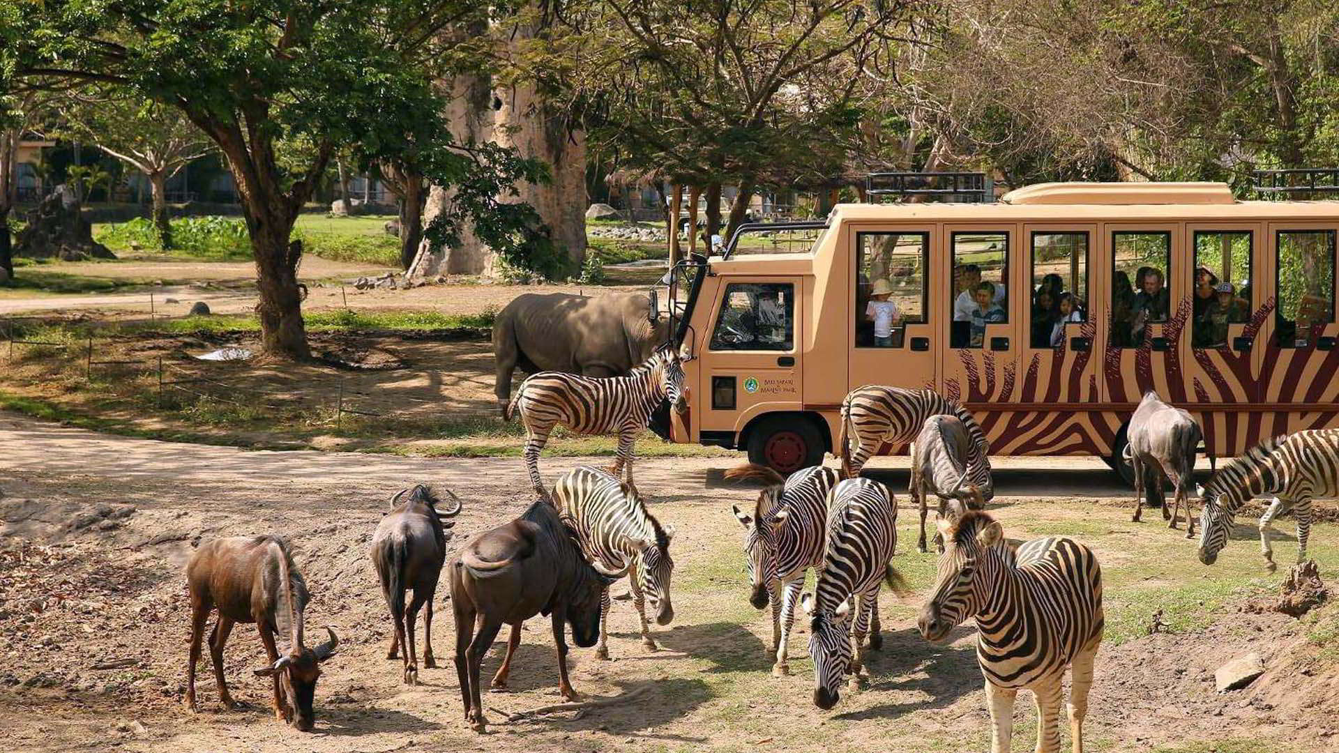 Bali Safari And Marine Park Tour